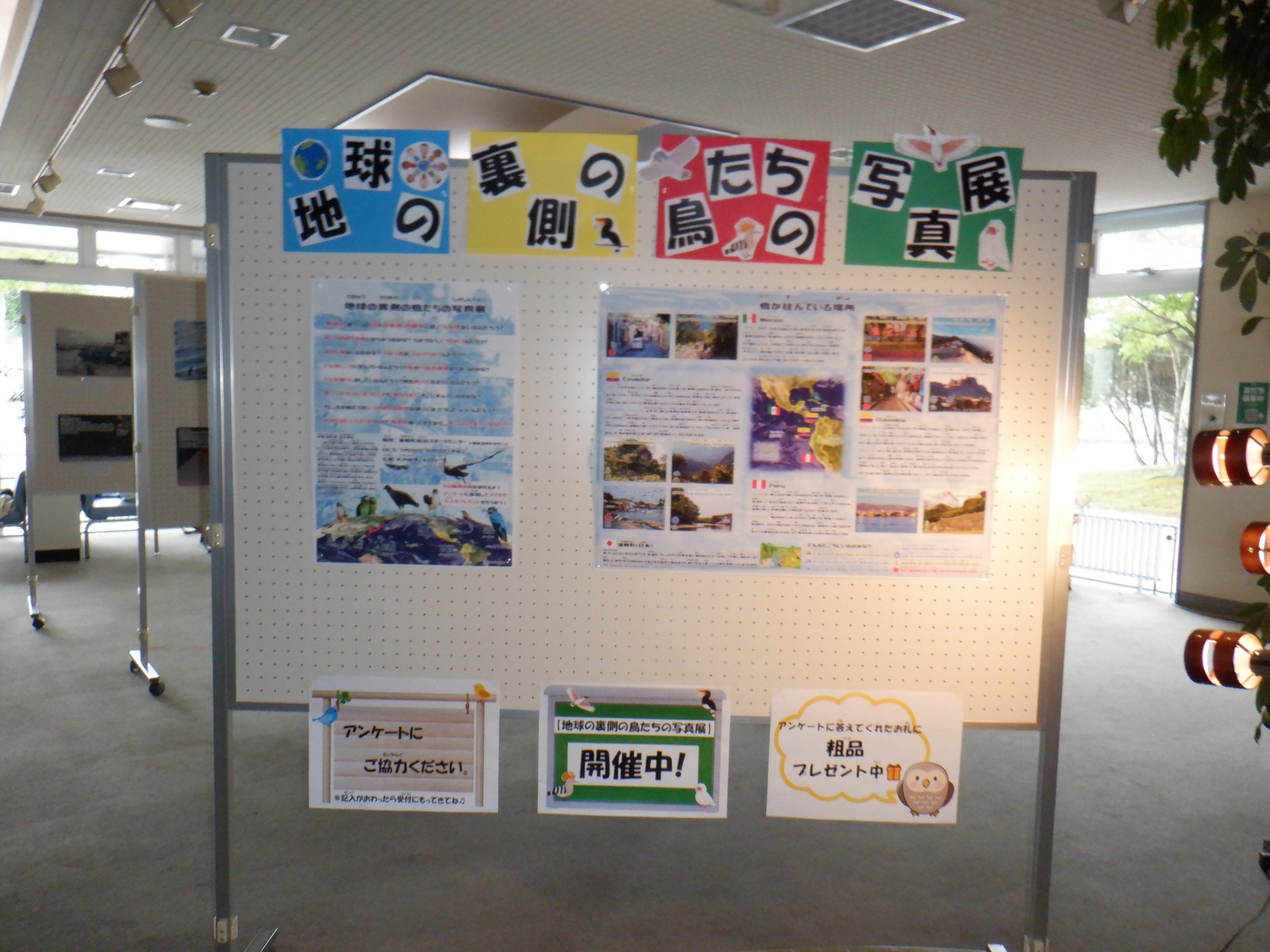 DSCF1908
